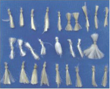 �w�S���V��