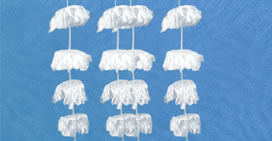 ˮ̎�����ϵķN�����Щ������