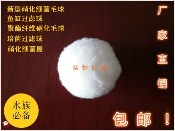 ������(x��)��ë���^(gu��)�V������w�S��?y��n)V��